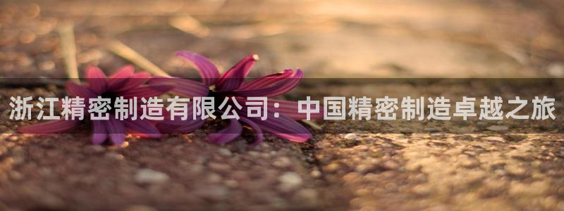 彩神8是正规平台吗是正品吗：浙江精密制造有限公司：中国精密制造卓越之旅