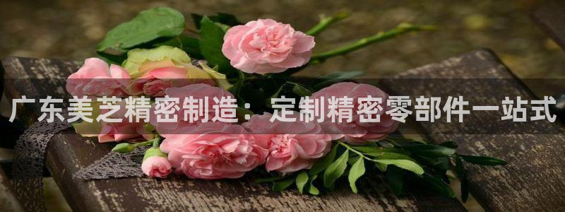 彩神vll首页环球：广东美芝精密制造：定制精密零部件一站式