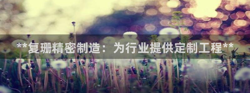 彩神v8平台正规吗知乎：**复珊精密制造：为行业提供定制工程**