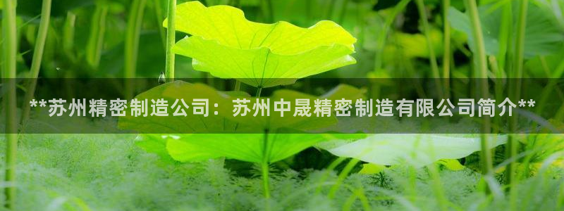 彩神官方网站登录是多少：**苏州精密制造公司：苏州中晟精密制造有限公司简介**