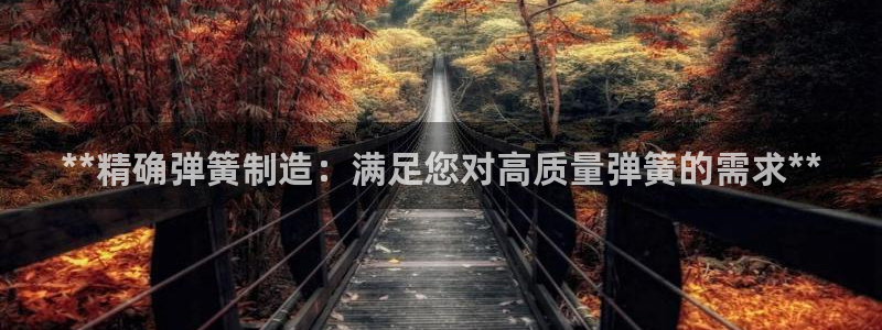 下载彩神乐发V1：**精确弹簧制造：满足您对高质量弹簧的需求**