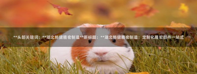 新版彩神v8登录：**头部关键词：**湖北骼健精密制造**新标题：**湖北骼健精密制造：定制化精密部件一站式