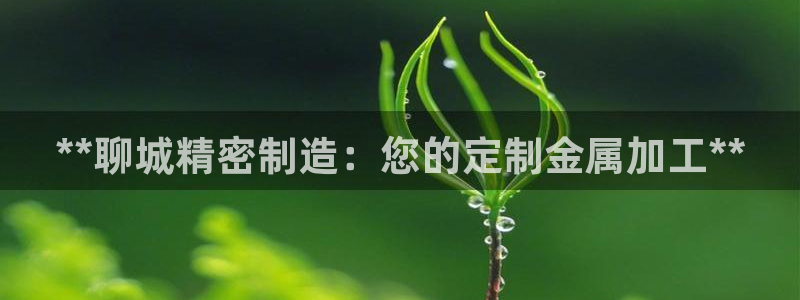 彩神v8几个版本：**聊城精密制造：您的定制金属加工**