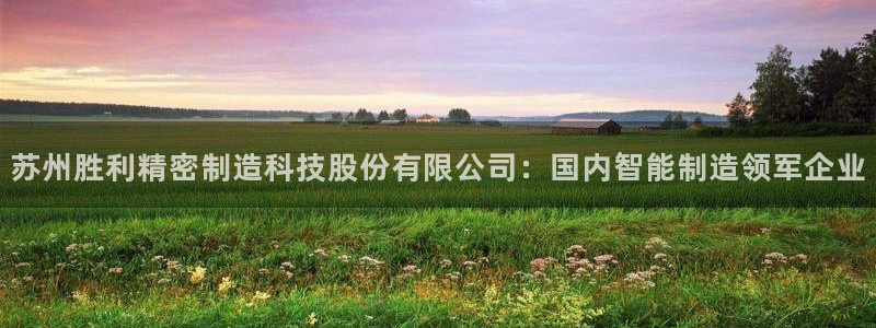 新版彩神v8登录不了：苏州胜利精密制造科技股份有限公司：国内智能制造领军企业