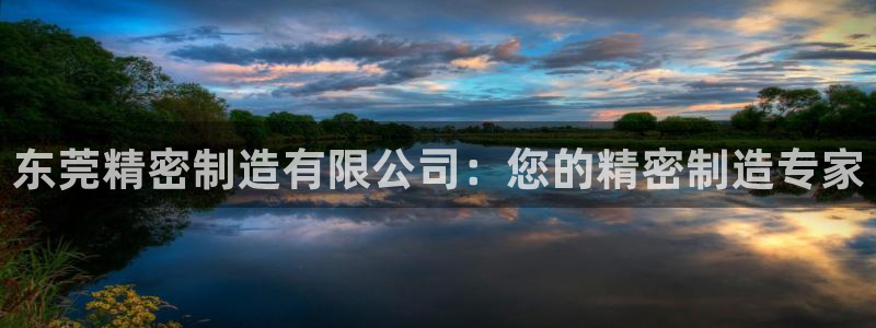 彩神xapp官方网站：东莞精密制造有限公司：您的精密制造专家
