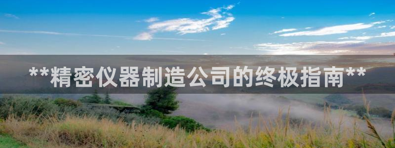 彩神v8几个版本：**精密仪器制造公司的终极指南**