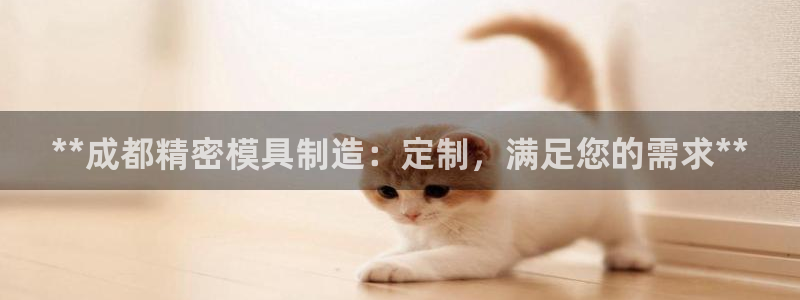 彩神V官网：**成都精密模具制造：定制，满足您的需求**