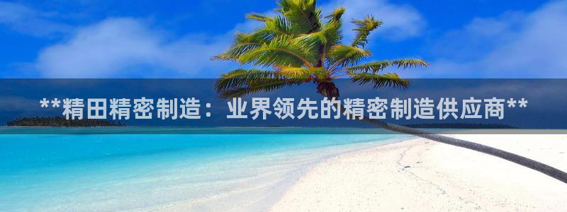 彩神v8几个版本：**精田精密制造：业界领先的精密制造供应商**