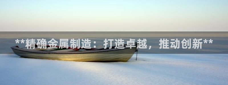 彩神官方登录：**精确金属制造：打造卓越，推动创新**