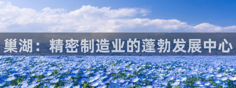 彩神vll首页：巢湖：精密制造业的蓬勃发展中心