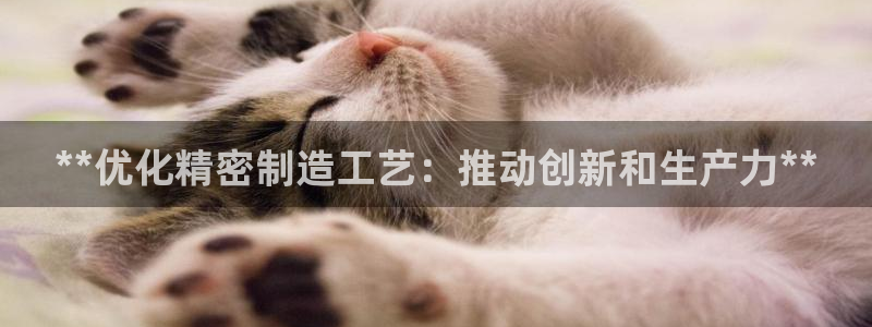 彩神iv是正规平台吗?：**优化精密制造工艺：推动创新和生产力**