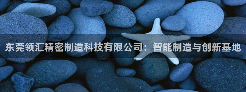 彩神怎么才能赢：东莞领汇精密制造科技有限公司：智能制造与创新基地