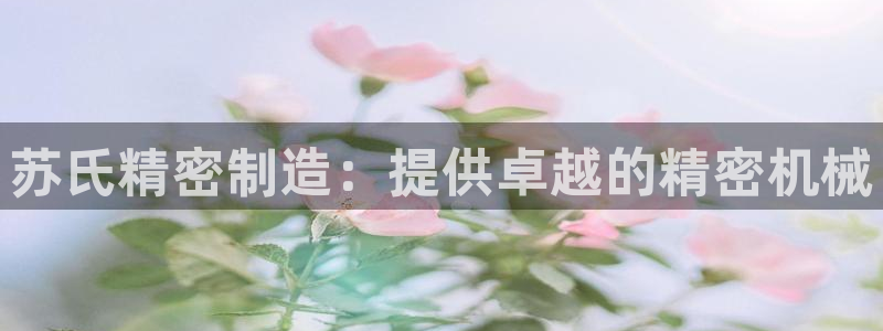 彩神大发三期计划网站：苏氏精密制造：提供卓越的精密机械