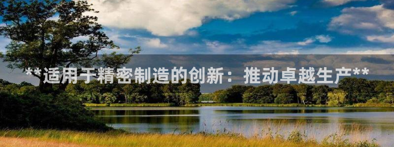 彩神到底能不能赚钱：**适用于精密制造的创新：推动卓越生产**