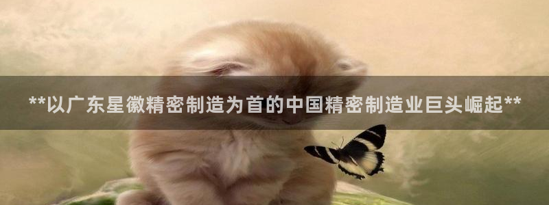 彩神8官网版是正规的吗：**以广东星徽精密制造为首的中国精密制造业巨头崛起**