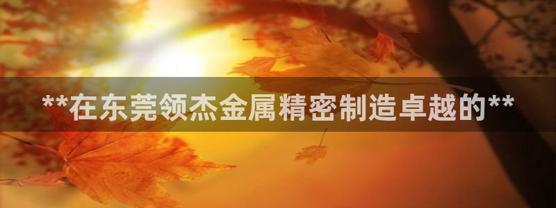 彩神是真的吗：**在东莞领杰金属精密制造卓越的**