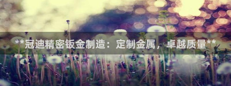 彩神ⅴll用户登录：**冠迪精密钣金制造：定制金属，卓越质量**