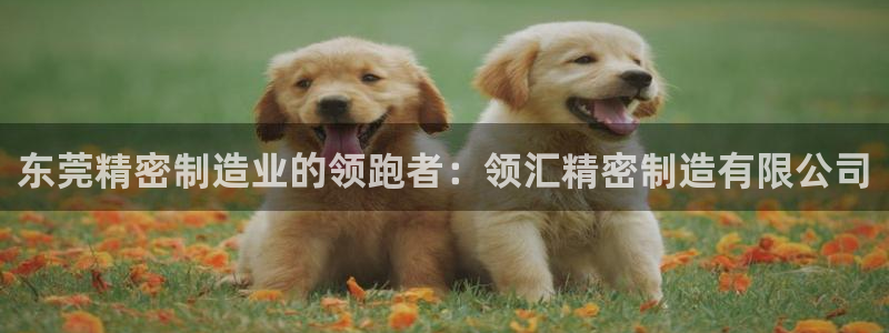 彩神旗下有哪些平台可以看：东莞精密制造业的领跑者：领汇精密制造有限公司