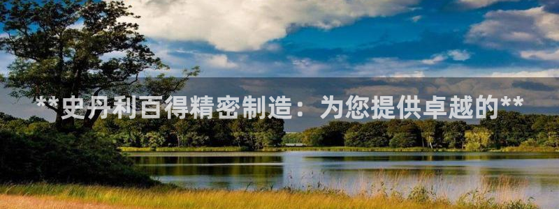 大发彩神最高邀请码：**史丹利百得精密制造：为您提供卓越的**
