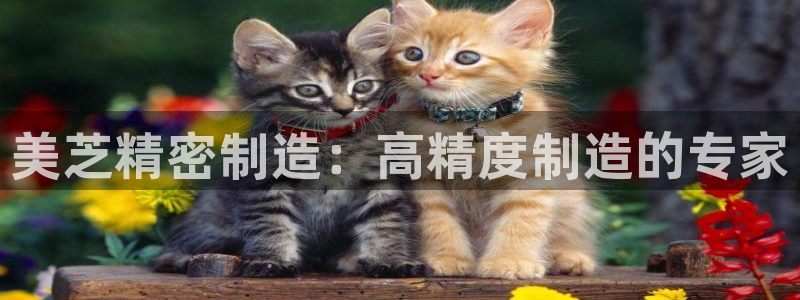 彩神团队是真的吗：美芝精密制造：高精度制造的专家