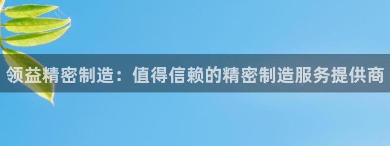 彩神平台之间是什么关系：领益精密制造：值得信赖的精密制造服务提供商