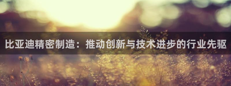 彩神大发cp：比亚迪精密制造：推动创新与技术进步的行业先驱