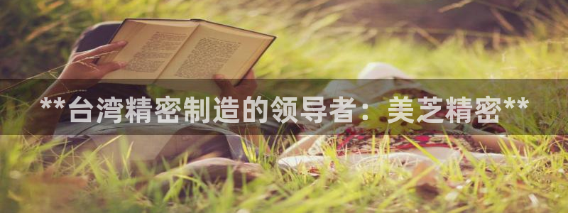 彩神盈利图片：**台湾精密制造的领导者：美芝精密**