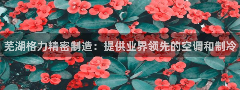 彩神v8下载app5.0：芜湖格力精密制造：提供业界领先的空调和制冷