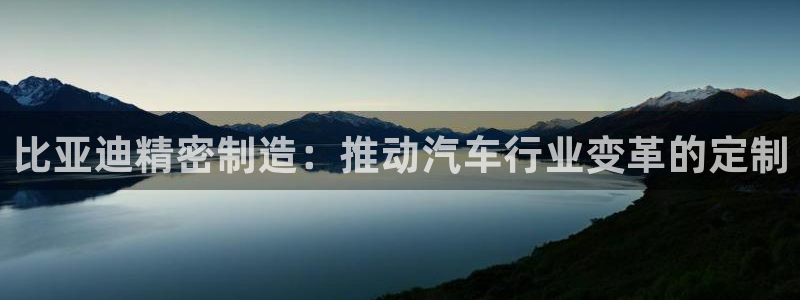 彩神的邀请码是多少：比亚迪精密制造：推动汽车行业变革的定制