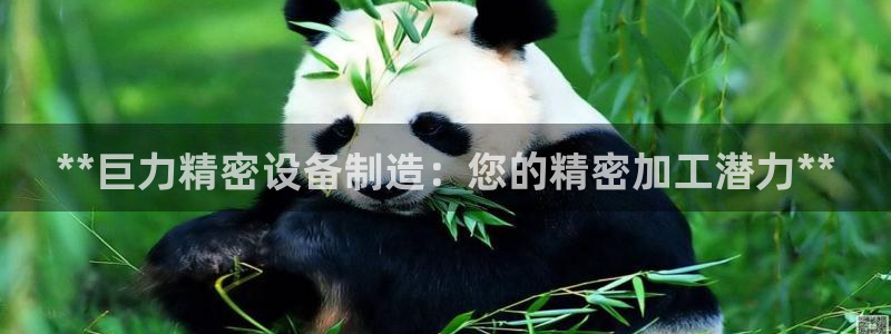 彩神xapp官方网站：**巨力精密设备制造：您的精密加工潜力**