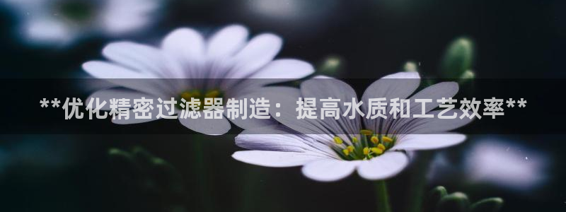 彩神Vii购彩-购彩大厅：**优化精密过滤器制造：提高水质和工艺效率**