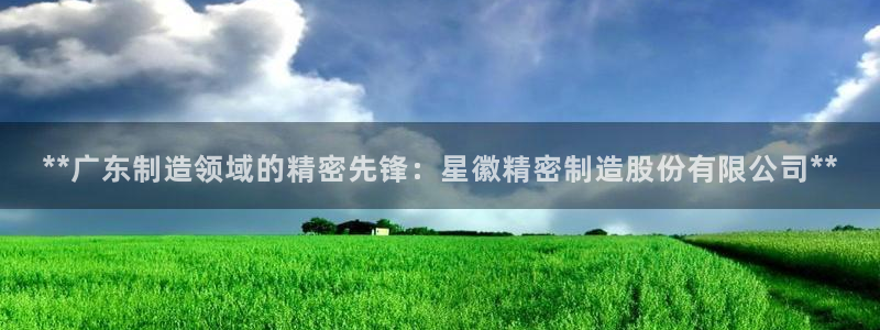 彩神v8app：**广东制造领域的精密先锋：星徽精密制造股份有限公司**