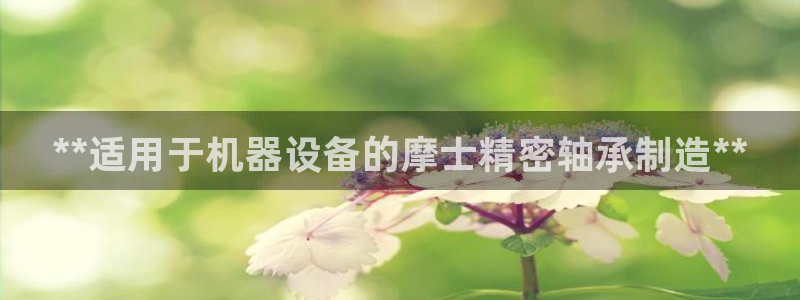 彩神vlll官网网上购彩：**适用于机器设备的摩士精密轴承制造**