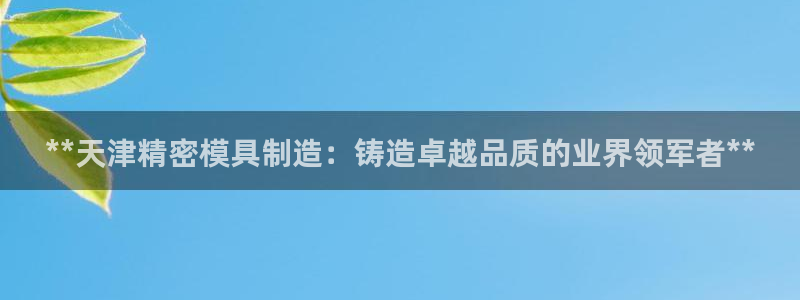v大发彩神8iii：**天津精密模具制造：铸造卓越品质的业界领军者**