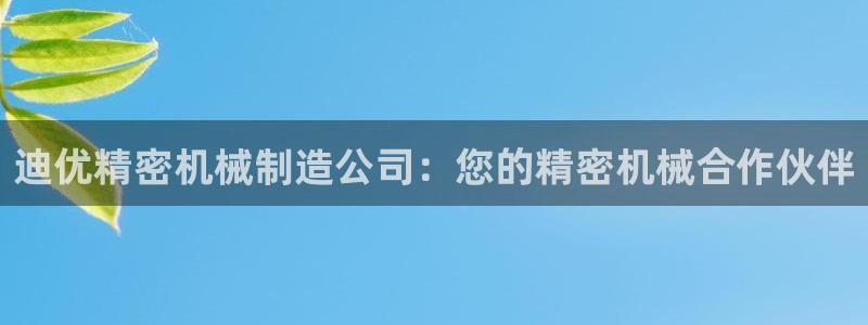 彩神8官网500：迪优精密机械制造公司：您的精密机械合作伙伴