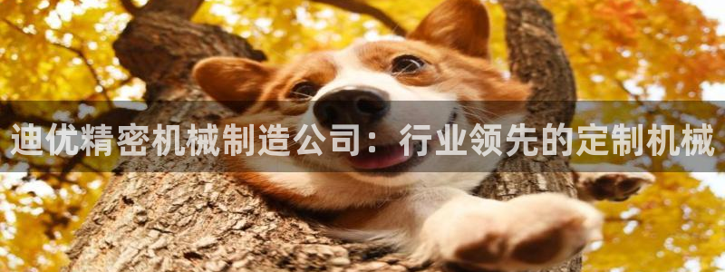 彩神vip购彩大厅在哪：迪优精密机械制造公司：行业领先的定制机械