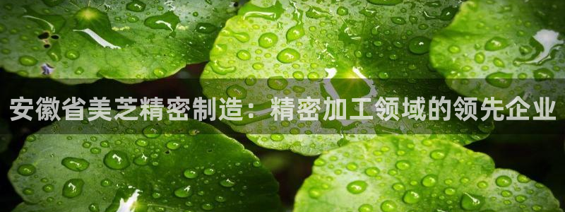 彩神可以提现吗：安徽省美芝精密制造：精密加工领域的领先企业