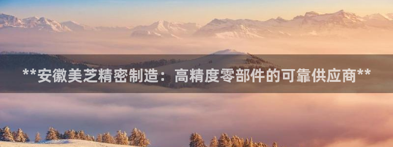 大发彩神官网下载：**安徽美芝精密制造：高精度零部件的可靠供应商**