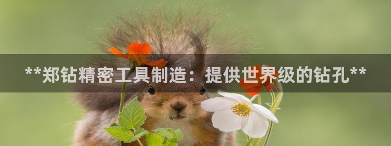 彩神是什么平台的游戏：**郑钻精密工具制造：提供世界级的钻孔**