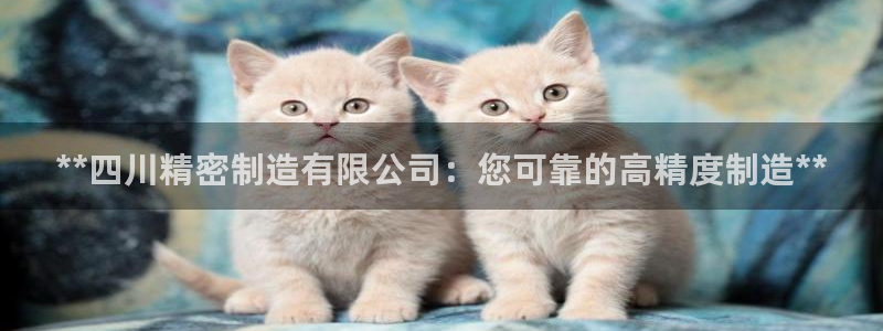 彩神新微聊：**四川精密制造有限公司：您可靠的高精度制造**
