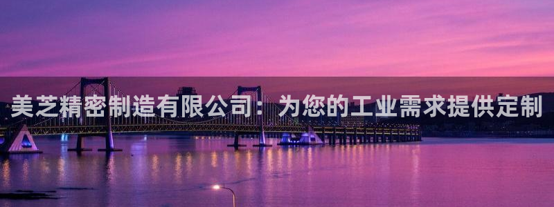 彩神平台可以破解吗：美芝精密制造有限公司：为您的工业需求提供定制