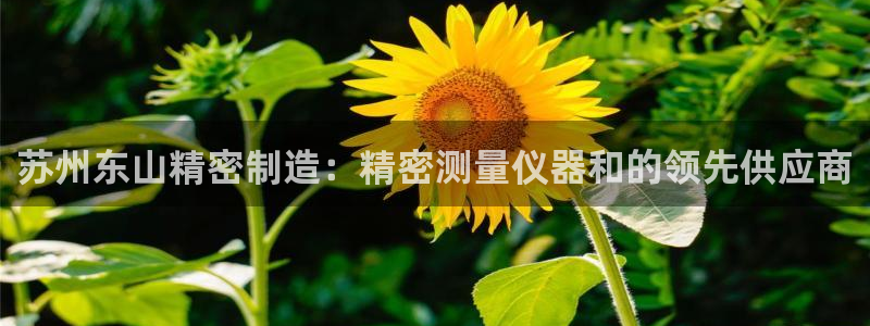 彩神争霸官网登录平台：苏州东山精密制造：精密测量仪器和的领先供应商