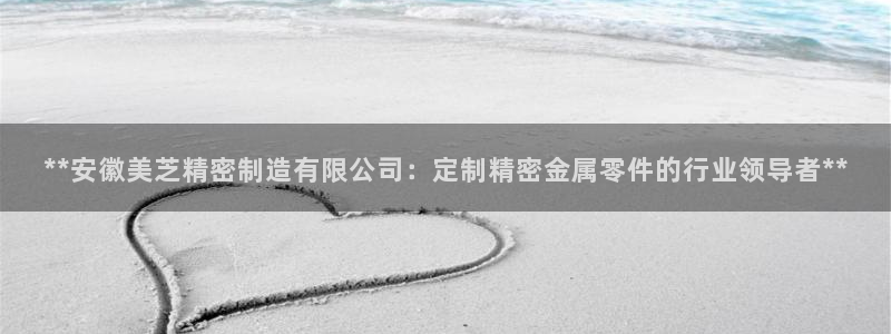 彩神vip购彩大厅在哪：**安徽美芝精密制造有限公司：定制精密金属零件的行业领导者**