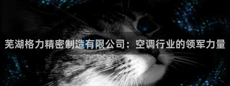 彩神官方登录：芜湖格力精密制造有限公司：空调行业的领军力量