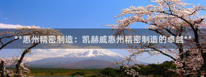 彩神x平台靠什么盈利：**惠州精密制造：凯赫威惠州精密制造的卓越**