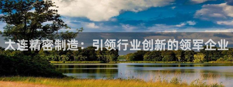 在彩神网输了六万多怎么拿回来：大连精密制造：引领行业创新的领军企业
