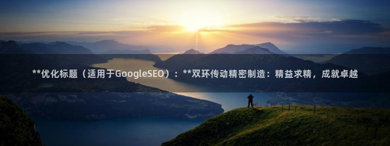 彩神vi争霸官网：**优化标题（适用于GoogleSEO）：**双环传动精密制造：精益求精，成就卓越