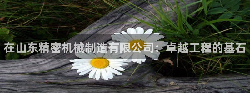 在彩神网输了六万多怎么拿回来：在山东精密机械制造有限公司：卓越工程的基石