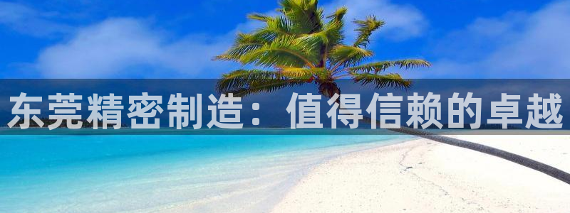 彩神V集团公司：东莞精密制造：值得信赖的卓越