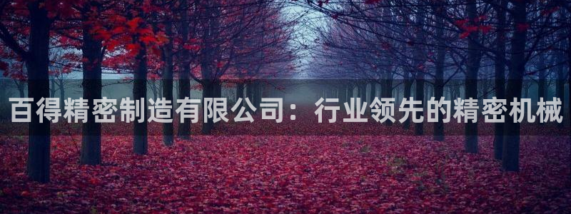 彩神v8iii：百得精密制造有限公司：行业领先的精密机械